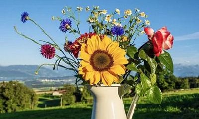 81年属鸡人42岁过七劫 42岁以后命运分析