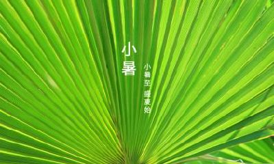 2021年春分是立春吗?春分节气出生的宝宝命好吗?