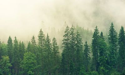 用五行语言,读懂八字,体悟高维能量运作方式