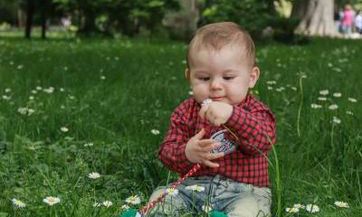 2023年八月廿六出生张姓男孩名字叫什么