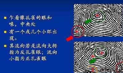 这三种手相特征的人,天生好命,福多财旺,一生大富大贵