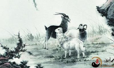 属羊女人贵气在命