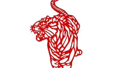 属虎人的感情和运势,很准的,能够 参照下