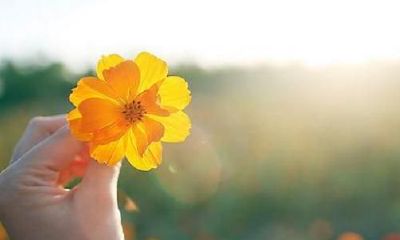 属鸡的人,近几年来的婚姻生活情感运?