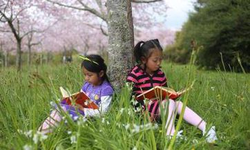 2023年冬月初八出生谭姓女孩名字