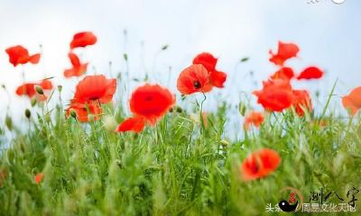 八字算命方法共享八字批命经等灵活运用者能用之