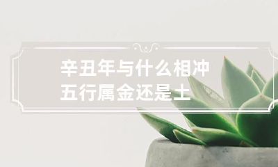 辛丑年与什么相冲 五行属金还是土