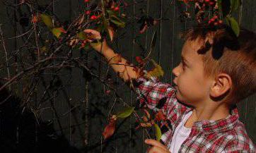 妈妈姓邵爸爸姓田取名男孩