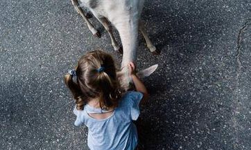 杜姓女孩名字2023年11月18日出生的