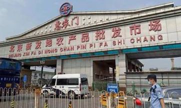 80年猴与84年属鼠婚姻合不合 能在一起不