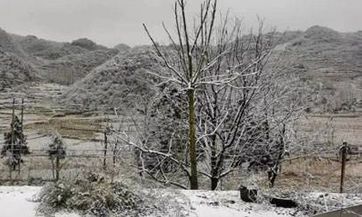 属鼠男人和属猴女人相配吗