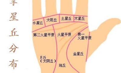 这四种掌纹特点的人,横财运好,男富女贵,财源广进