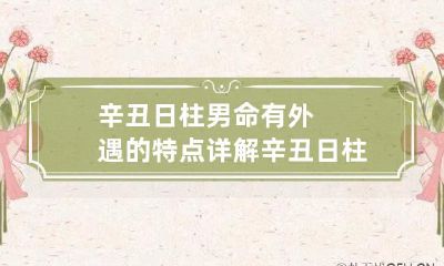 辛丑日柱男命有外遇的特点详解 辛丑日柱男命财运