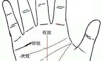 掌纹也分得多种多样,了解什么叫高手相吗?