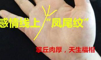 分析这几个掌纹,赶紧来看看你的掌纹是否那样的