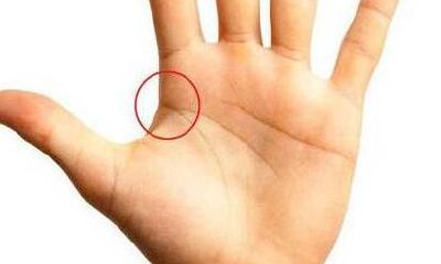 准得可怕的掌纹分析