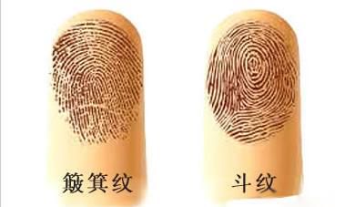 命最好是的五个掌纹特点,你占了好多个?