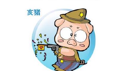 分析十二生肖中猪的性情、工作、财气与运势