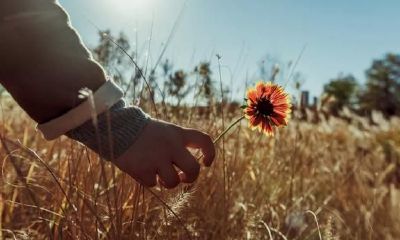 《易经》:什么样的人好命?