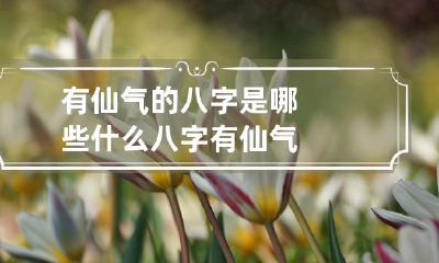 有仙气的八字是哪些 什么八字有仙气
