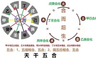 根据出生时间正确地排出人生八字,以及批八字时常用的干支属性
