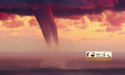 1987年属相兔2022年每月运势