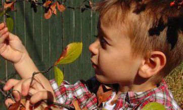 2023年四月十八出生范姓男孩名字叫什么