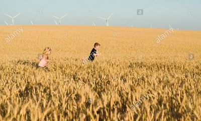 鸡年宝宝起名取名大全丁姓