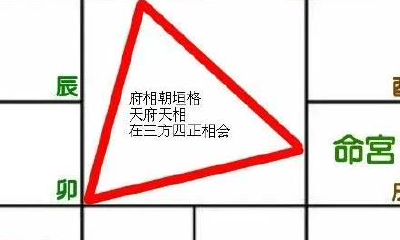 紫薇斗数之府相朝垣格