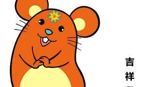 属鼠的人的性情一般 是乐观的、开心的友善人际交往的