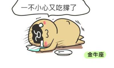 牛牛不要猫猫了