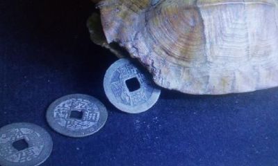 周易应用系列之八(原神、忌神、仇神)