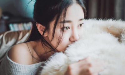 属相兔:一辈子感情,工作,财气到底出路在哪里,你清楚吗?