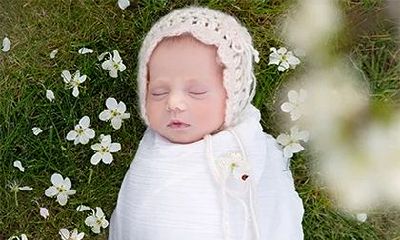 2022年属鸡男和属蛇女的夫妻和虎宝宝合不合,可以怀孕生子吗?