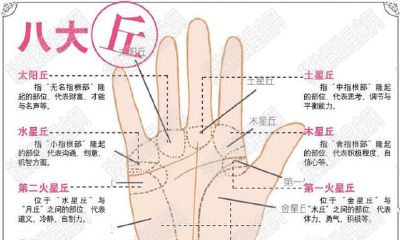 手相图解:从手掌心太阳线看知名度财气