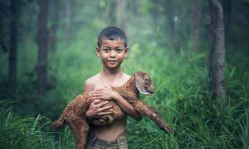 韩姓男孩名字2023年12月19日出生的