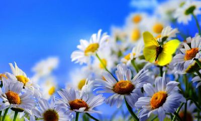 非常少有人能压受得了天蝎座