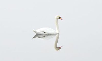 有没有姓任的明星?历史名人中有任姓吗?