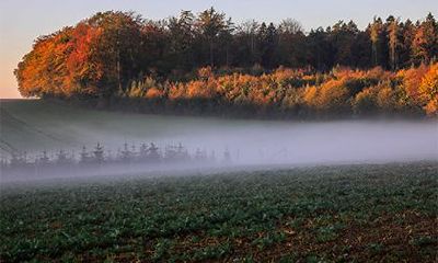 喜用神取名还是缺什么补什么_喜用神起名顺序