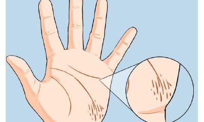 手纹杂乱的人,命运到底好不好?