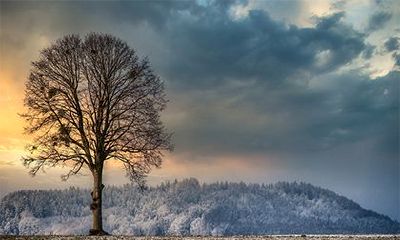 慎姓得姓始祖是谁?慎姓在百家姓排第几?