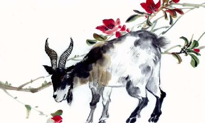 属羊的女性命确实不太好吗?