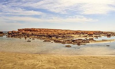 喜用神属土的字 喜用神为土的高分名字