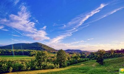 公历2019年3月10号子时出生的女宝宝起什么名字好,宜用什么字