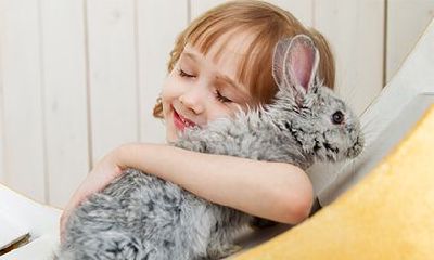 林姓女宝宝与众不同有个性的名字精选