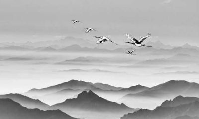 2019年3月17号子时出生的男宝宝名字怎么起,有哪些宜用字