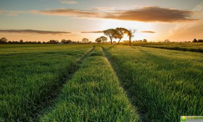 夏至下午出生的女宝宝起什么名字好