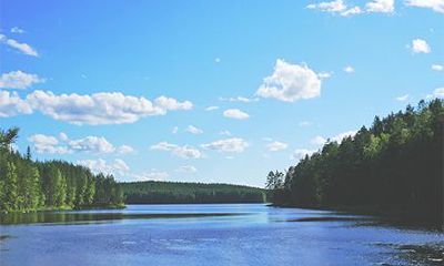 林姓历史来源于谁?林姓是大姓吗?