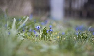 百家姓中第几位是万姓?哪里是万姓的起源地?