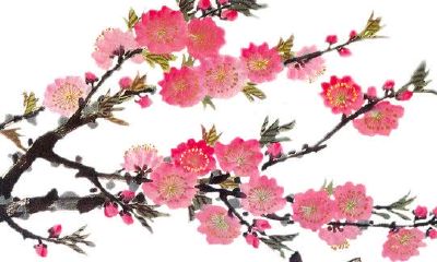 十二生肖:属兔的人